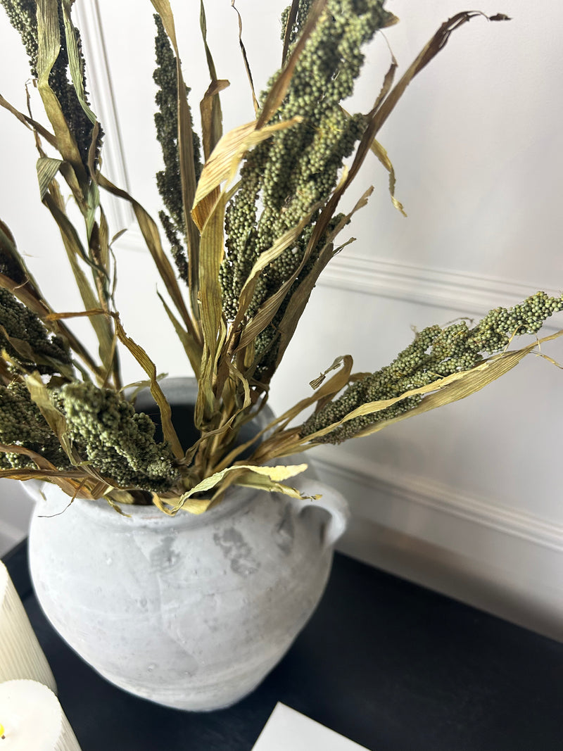 Dried Wheatgrass reed stem bunch green 65cm