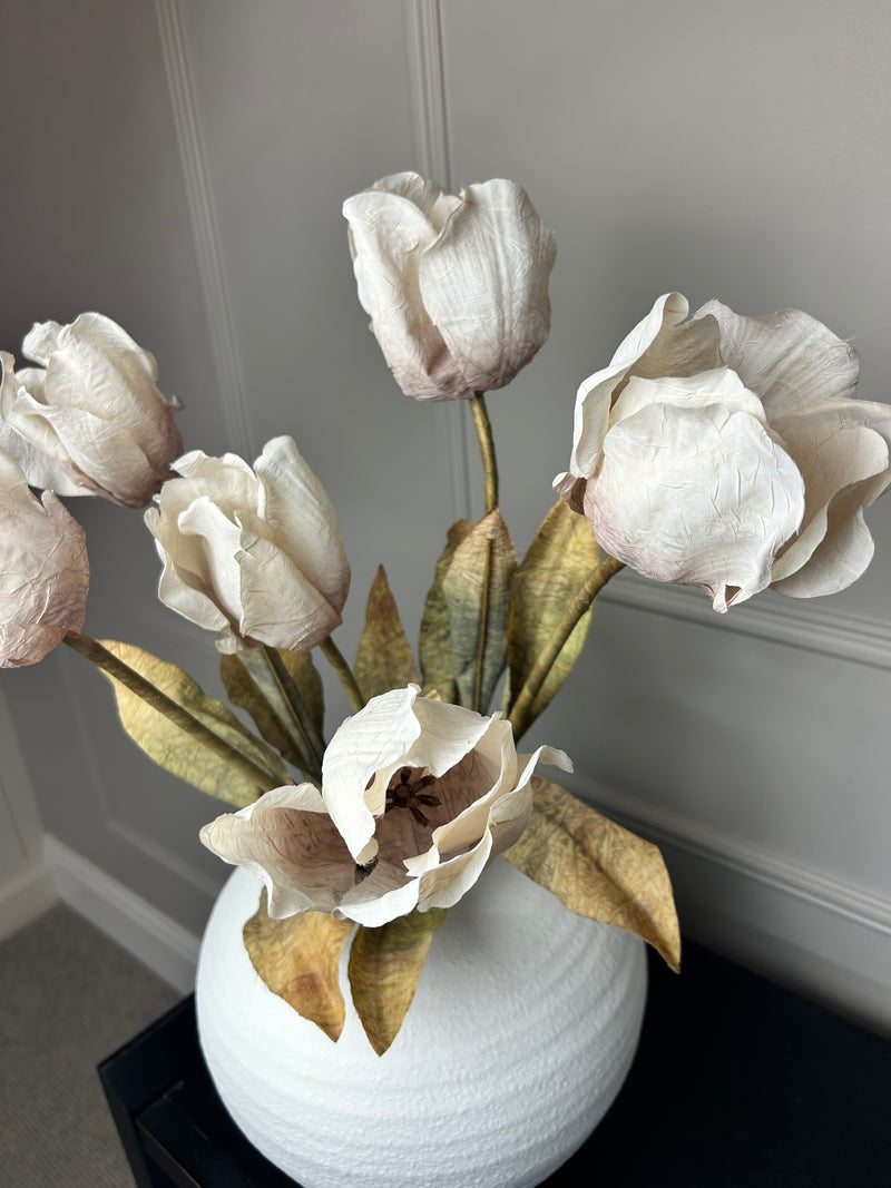 Dried real feel oyster tulip stem 70cm