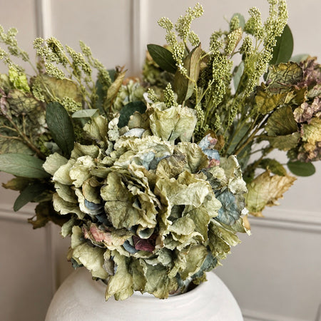 Green Ruffle Hydrangea Stem