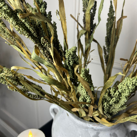 Dried Wheatgrass reed stem bunch green 65cm