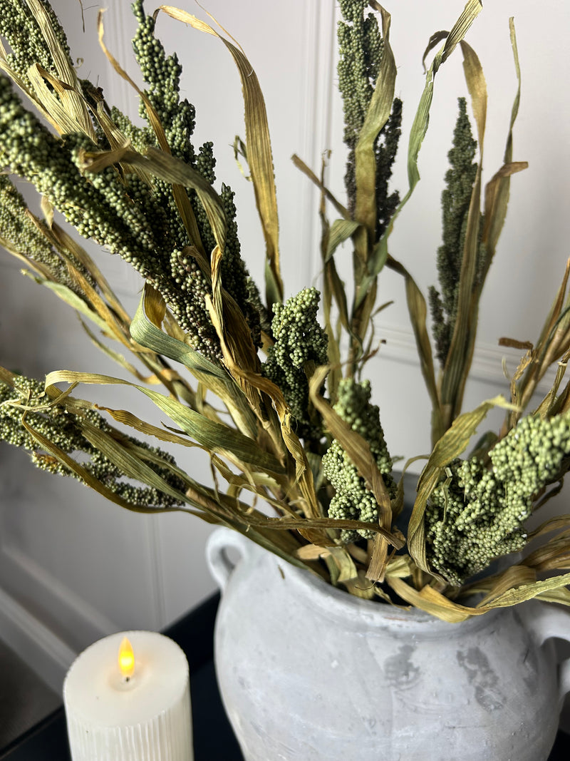Dried Wheatgrass reed stem bunch green 65cm