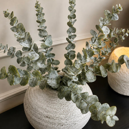 Eucalyptus bunch tied 10 stems