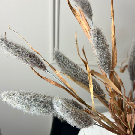 Bunny tail reed spray grey 60cm
