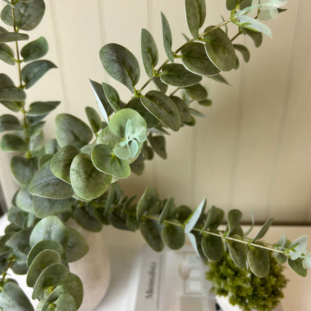 Green washed finish eucalyptus stem triple bunch 80cm