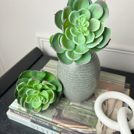 Afterglow succulent stem pick 10cm