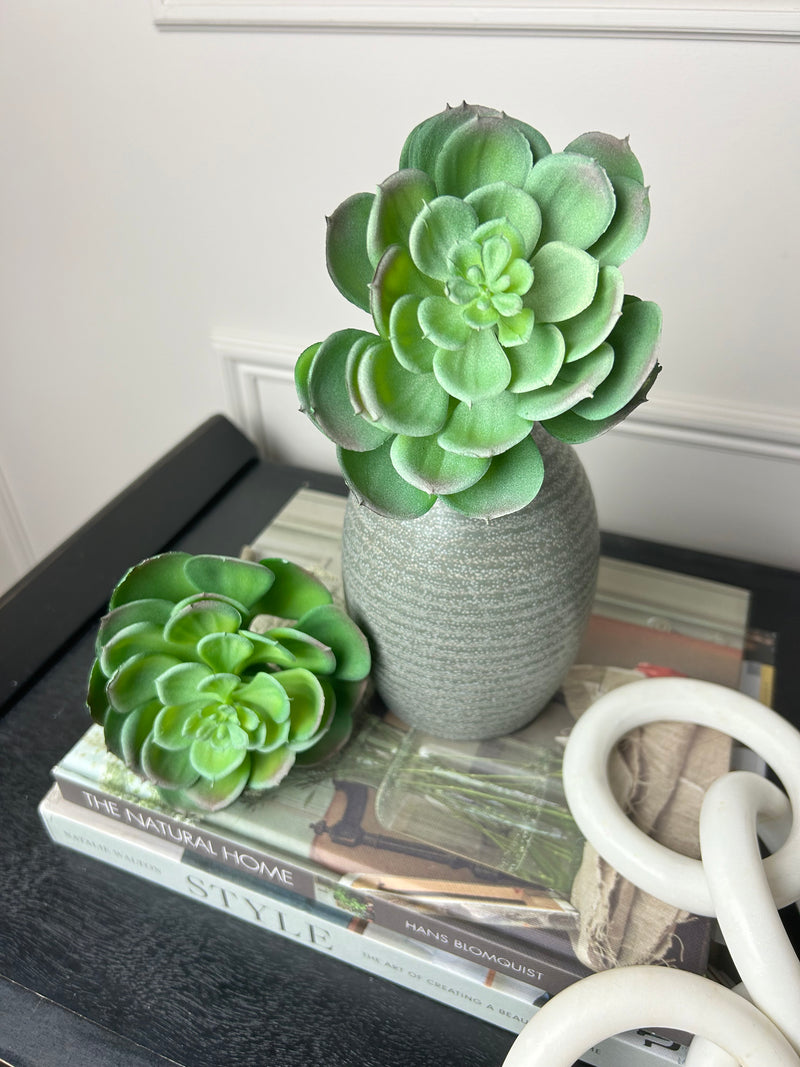 Afterglow succulent stem pick 10cm