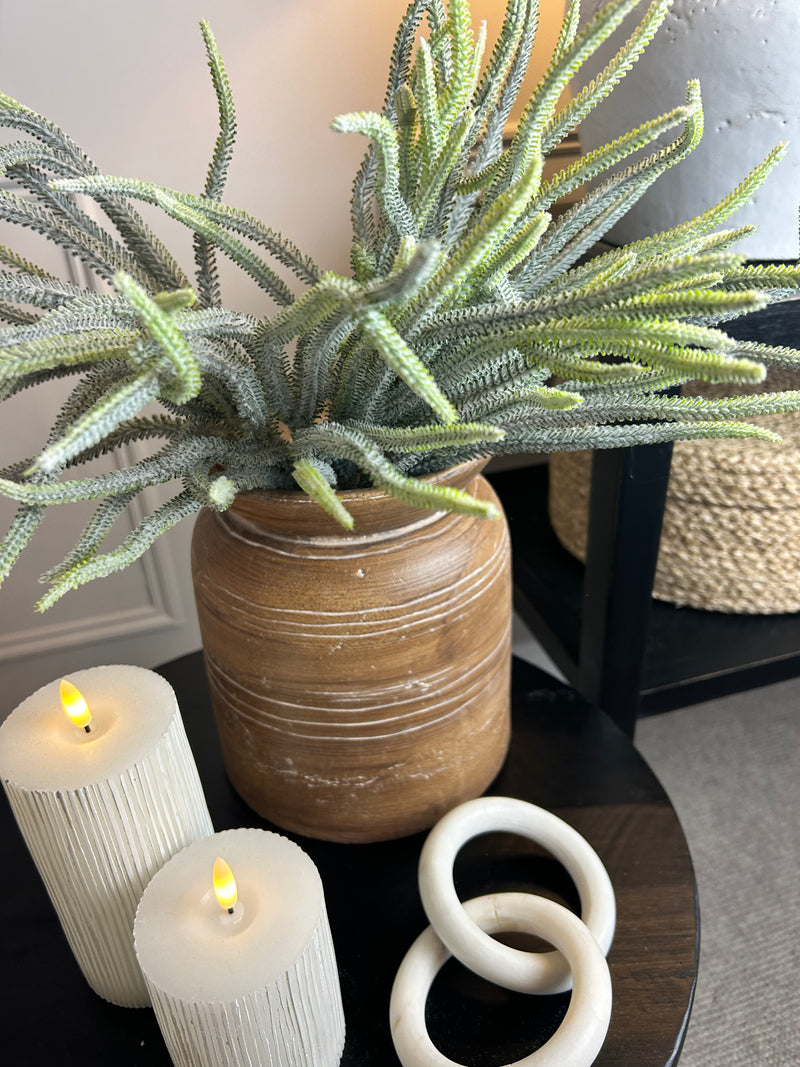 Foxtail Green Spiky Fern Bunch of 5 Stems