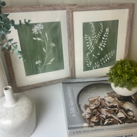 Sage green fern botanicals framed mounted glazed art work pictures 2 styles