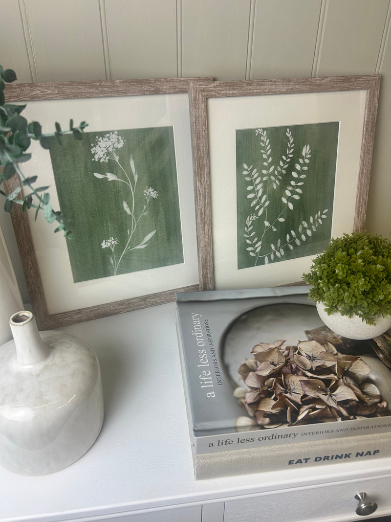 Sage green fern botanicals framed mounted glazed art work pictures 2 styles