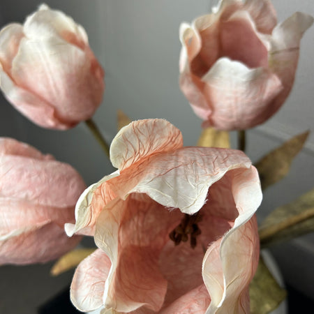 Soft pink Dried real feel open tulip stem 70cm
