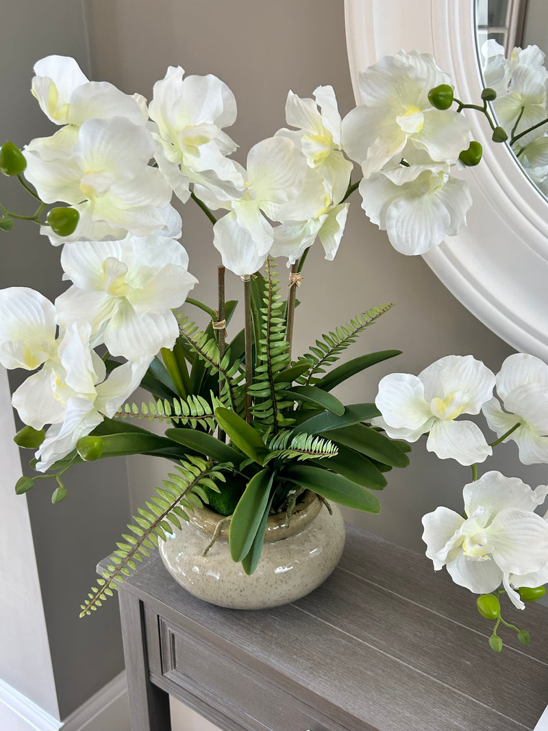 White vanda orchid in ceramic planter pot