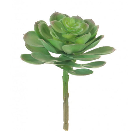 Afterglow succulent stem pick 10cm