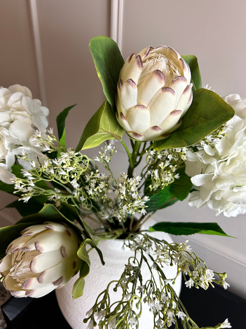 Off white closed protea stem