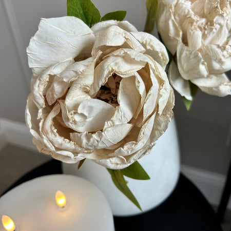 Oyster Dried Touch closed Peony