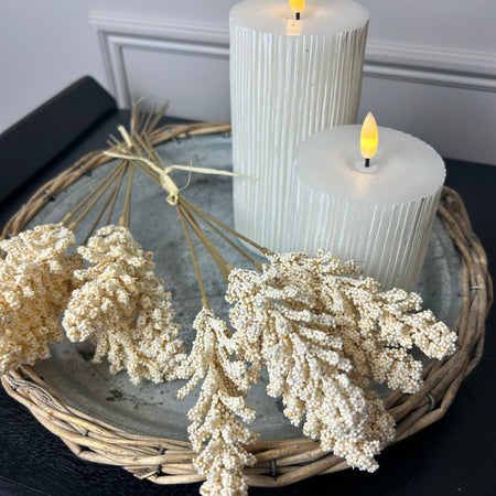 Oyster Dried wheat bunch 6 stems