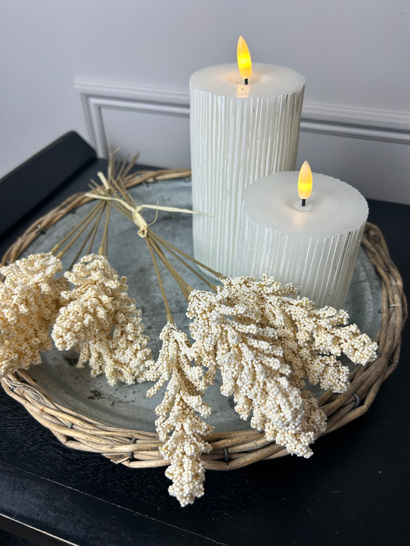 Oyster Dried wheat bunch 6 stems