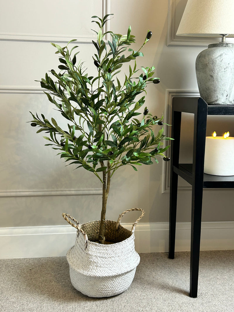 Olive Tree 130cm