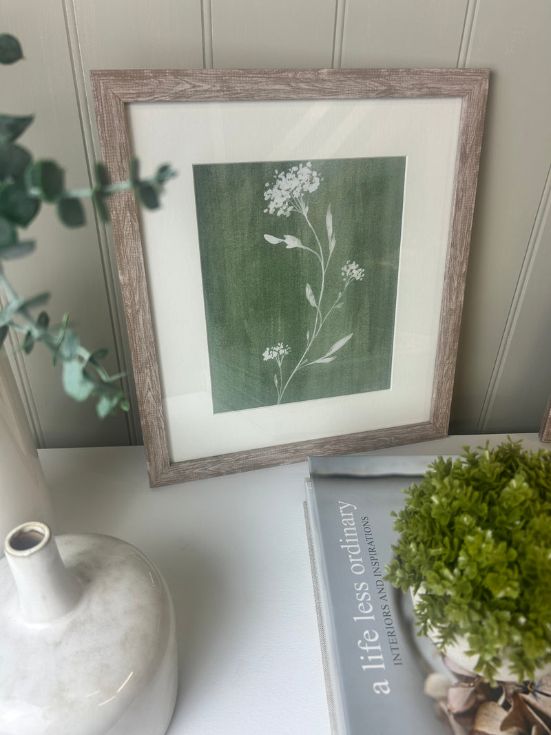 Sage green fern botanicals framed mounted glazed art work pictures 2 styles