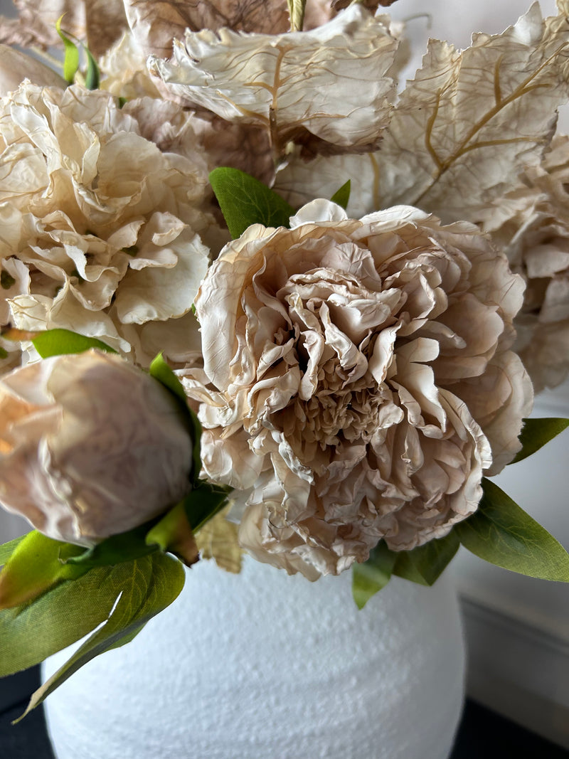 Oyster blush Dried Touch Open Peony with bud