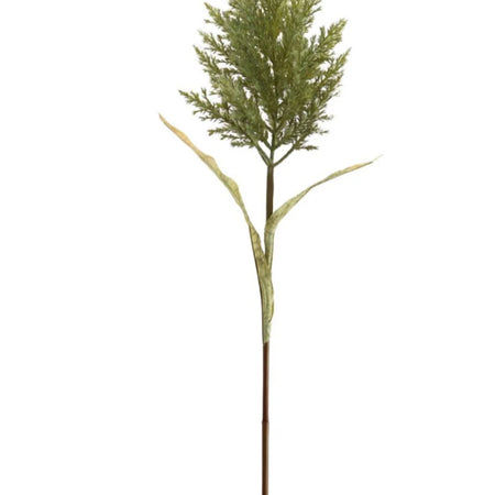 Green Feathered pampas astilbe stem 85cm