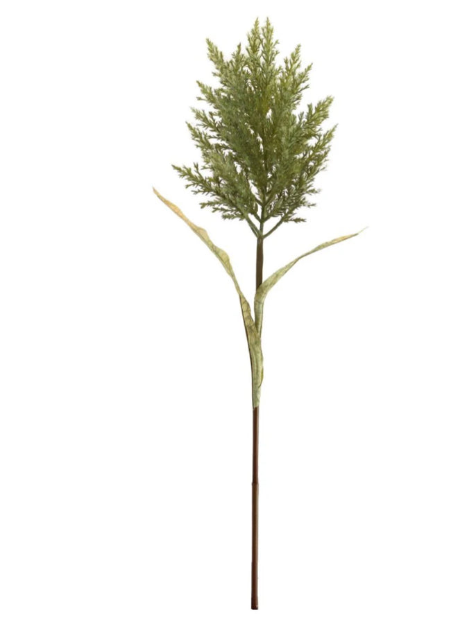 Green Feathered pampas astilbe stem 85cm
