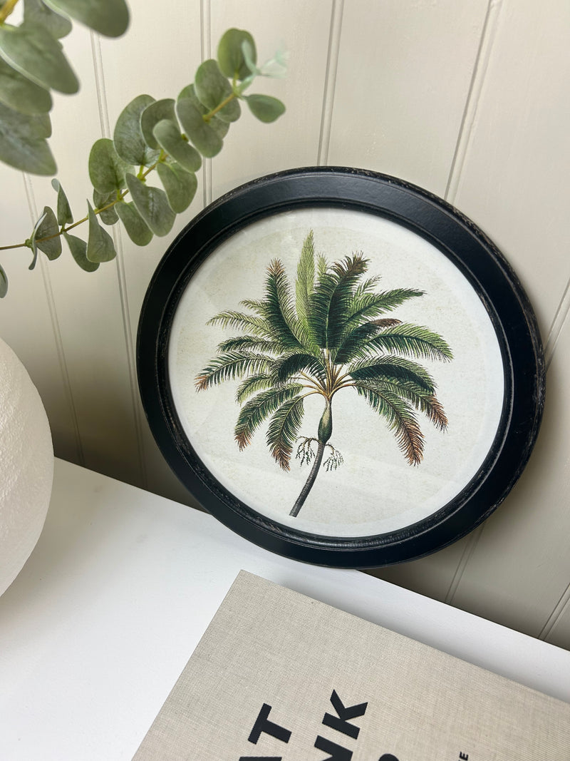 Round tree palm tree tropical print 35cm 4 styles