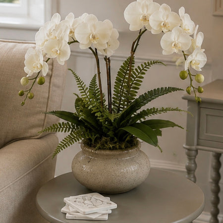 White vanda orchid in ceramic planter pot
