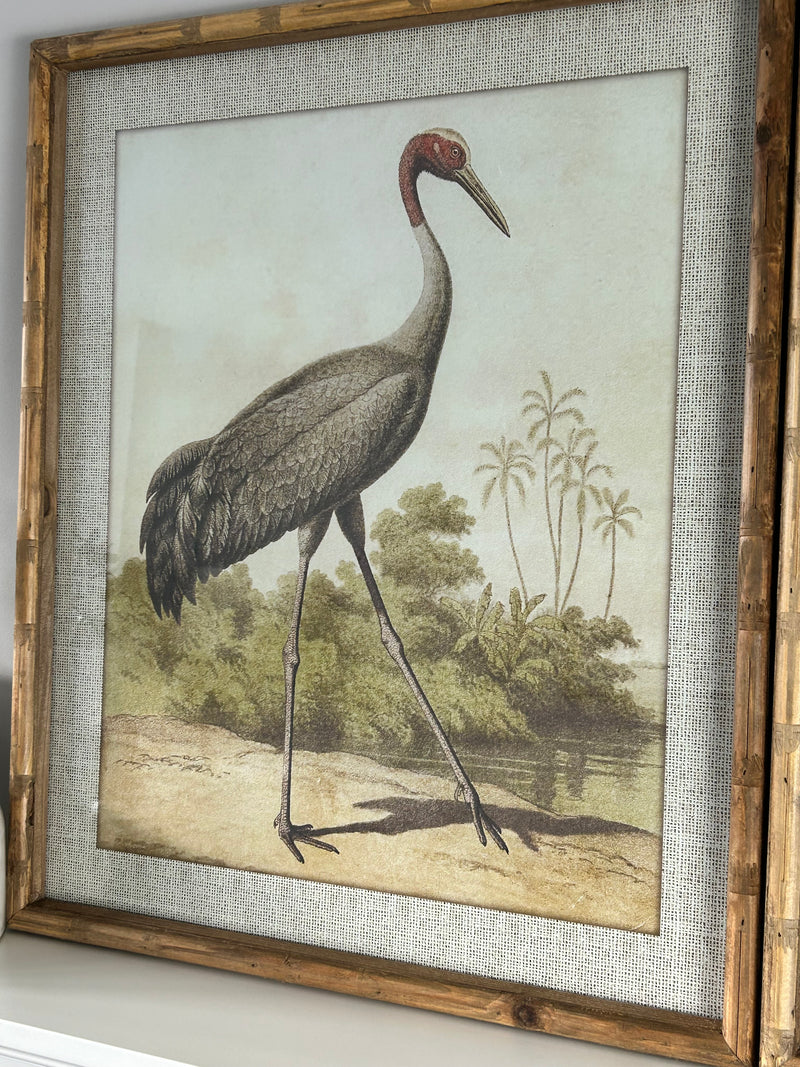 Stork picture in wood frame 2 styles