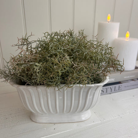 Pleated ruffle edge oval oblong Planter plant Pot