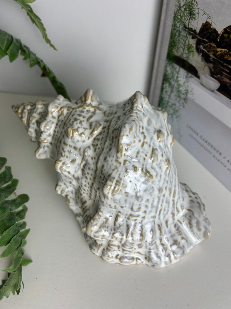 Off White Taupe Two Tone Ceramic Conch Shell