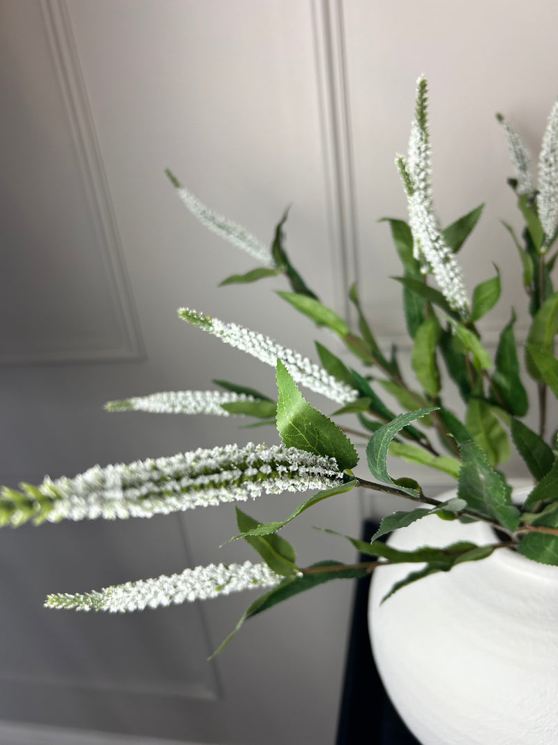 White Veronica multi stem 70cm