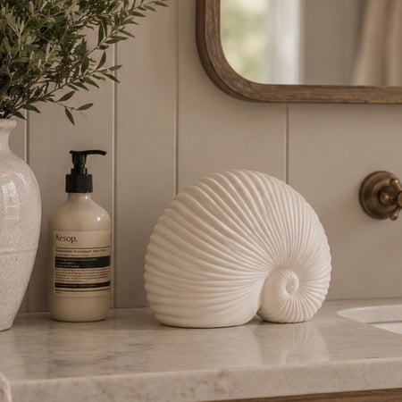 White Sea snail shell ornament