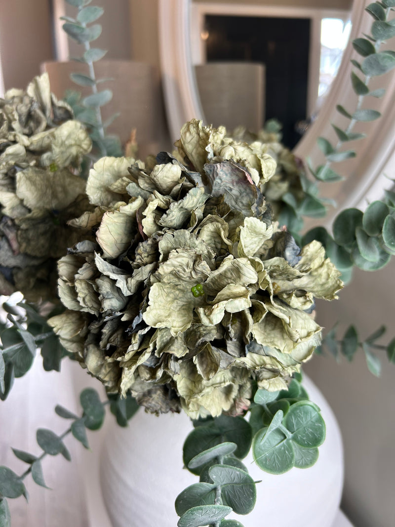 Green Ruffle Hydrangea Stem