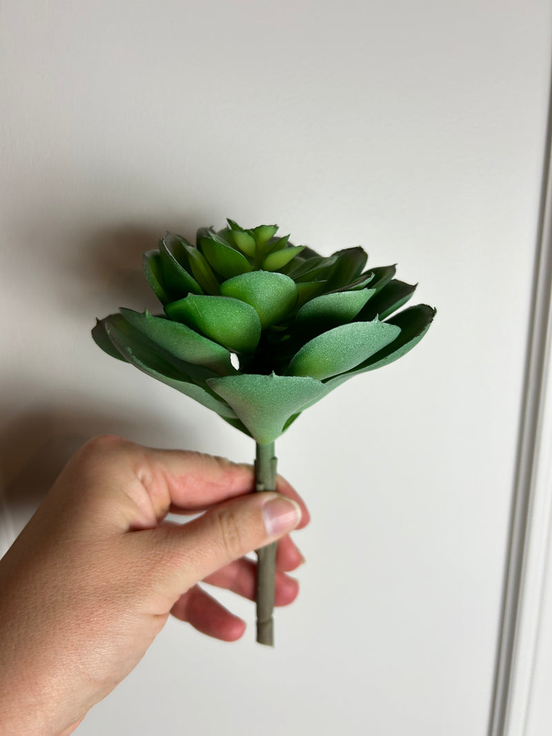 Afterglow succulent stem pick 10cm