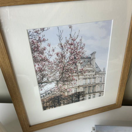 Romantic Paris framed mounted glazed print cherry blossom
