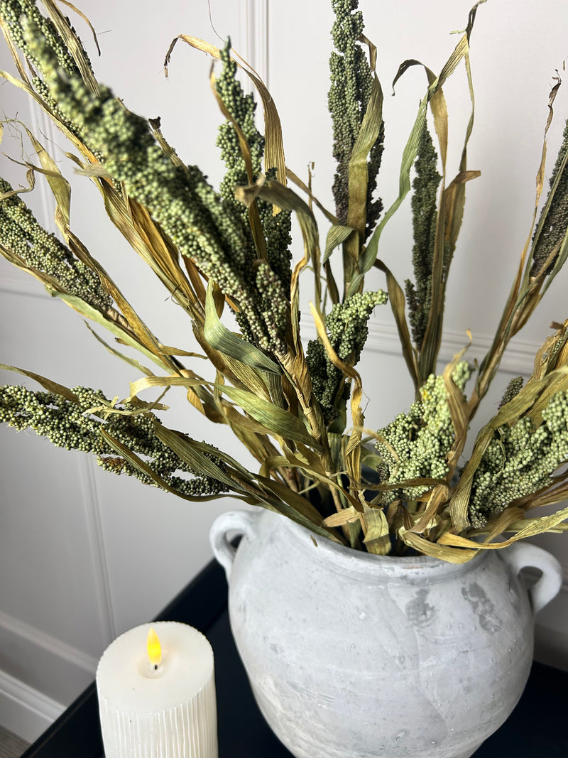 Dried Wheatgrass reed stem bunch green 65cm