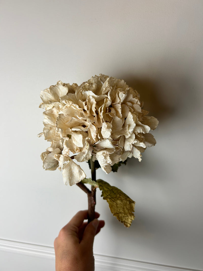 Oyster blush Ruffled Hydrangea Stem