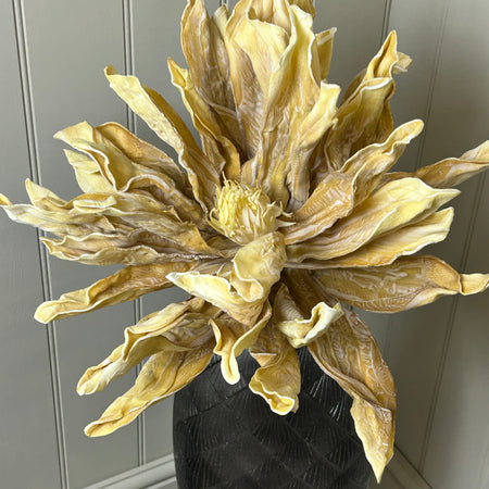 Yellow ochre gold large head flower stem 80cm tall