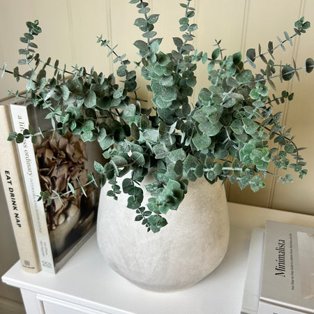 Frosted Eucalyptus multi Stem Bunch 2 sizes 5 and 10 stem