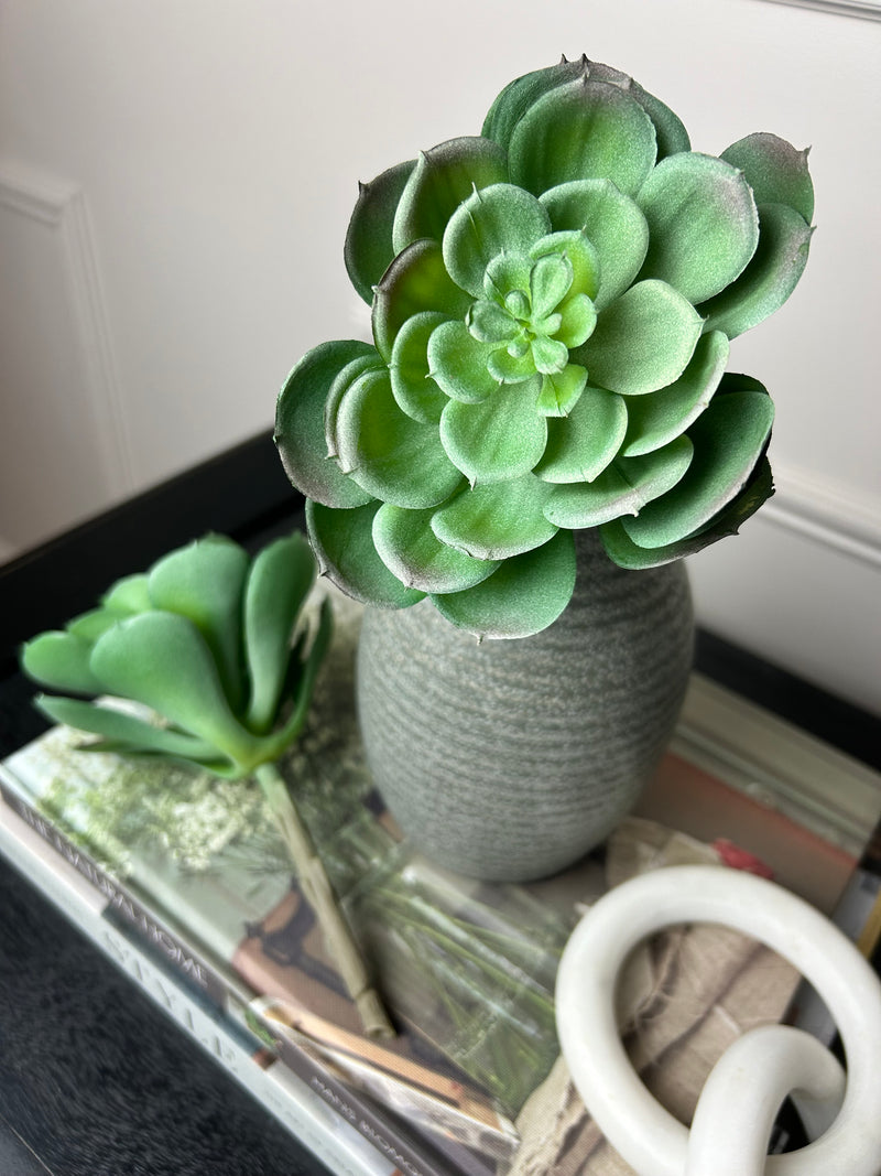 Afterglow succulent stem pick 10cm