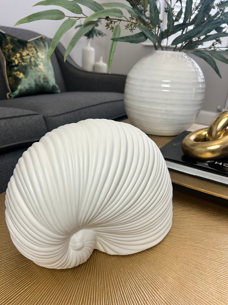 White Sea snail shell ornament