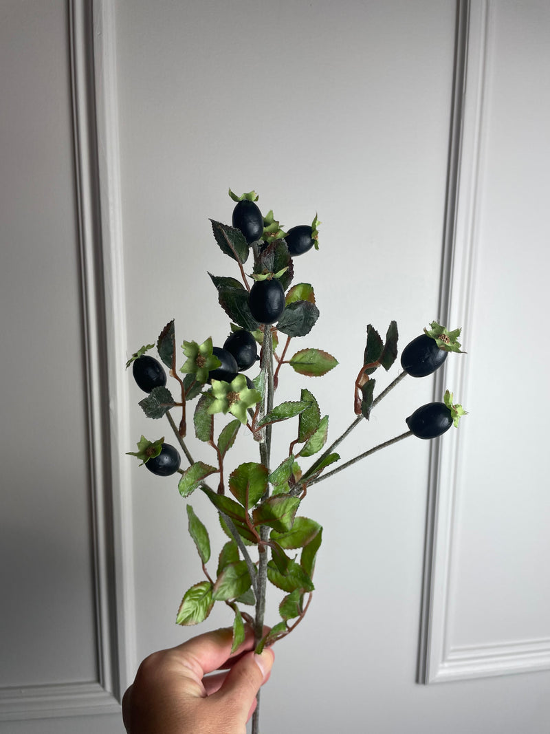 Rose hips black berry stem