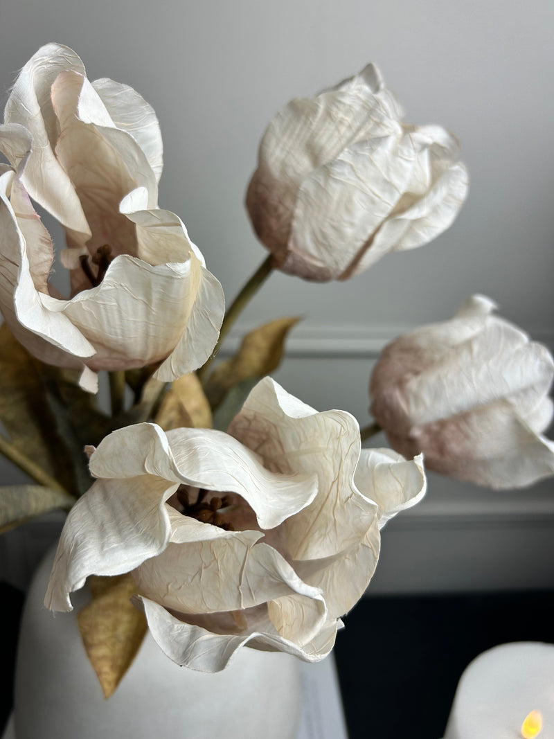 Dried real feel oyster tulip stem 70cm