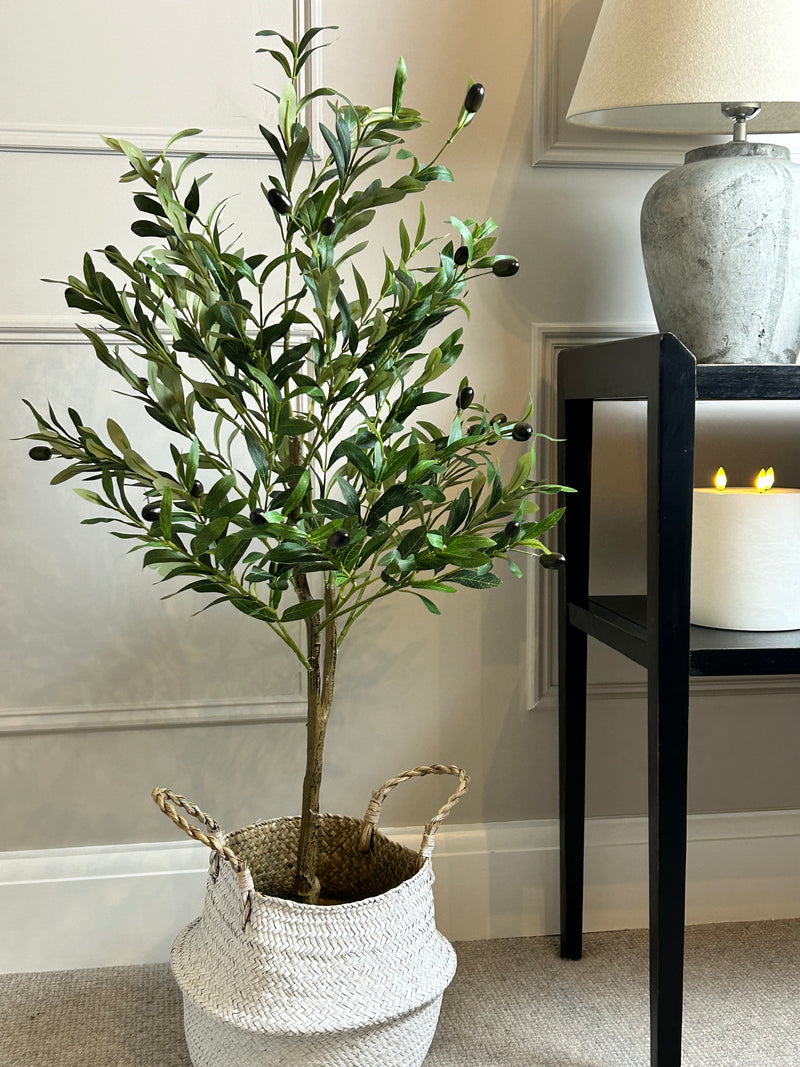 Olive Tree 130cm