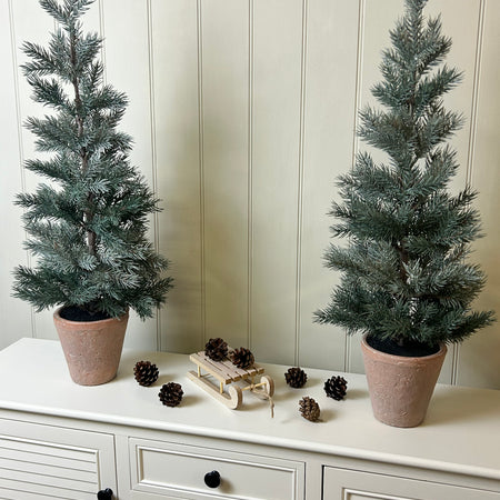 Tall 70cm potted terracotta pine tree