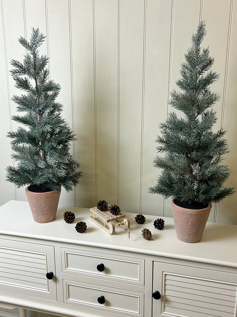 Tall 70cm potted terracotta pine tree