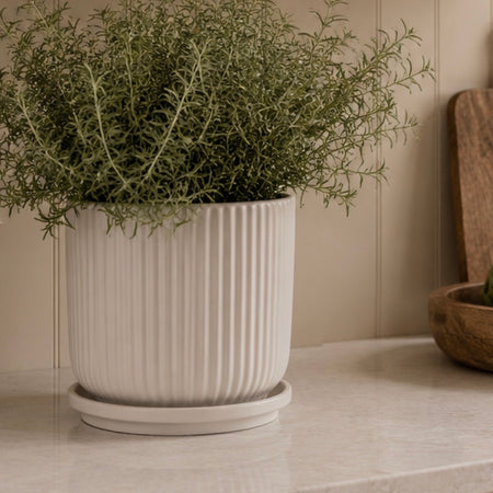 White Ribbed Plant Pot With Plate dish