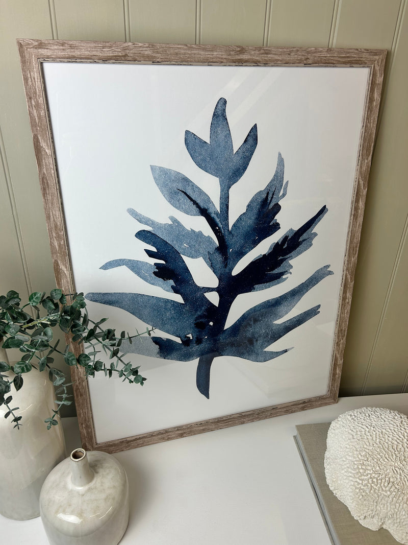 Blue wood framed coral seaweed pictures art 3 styles