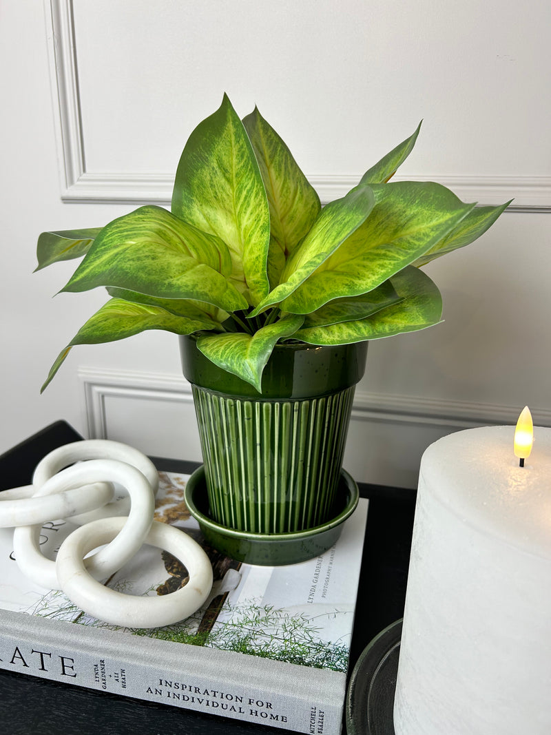 Variegated Printed Pothos Leaf Bunch pick plant