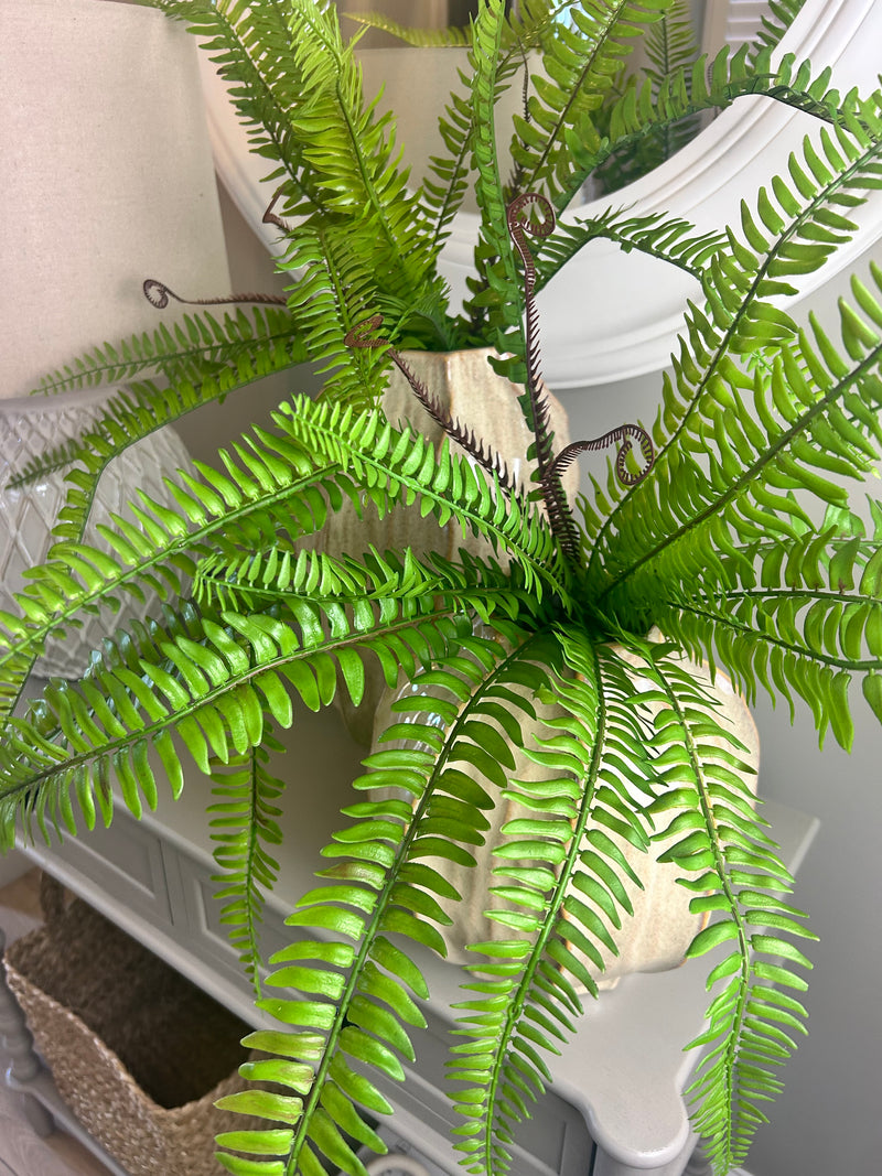 Tree fern bunch natural green pick